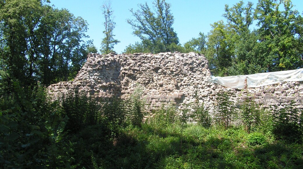 Ruines du Château de Rouelbeau