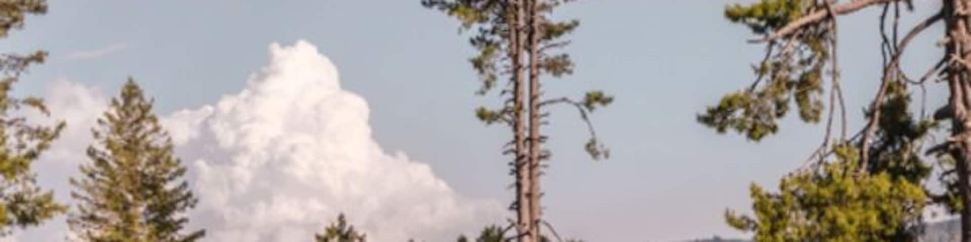 Houses coated in mud and covered in straw in Sanasar.
We were in a bus from Patnitop to Sanasar. Sanasar is a mountain side village, a hill station on the Jammu side of Jammu and Kashmir. All along our bus ride, we saw these mud coloured, box shaped houses.
http://sandeepachetan.com/sanasar-farmer-lunch/