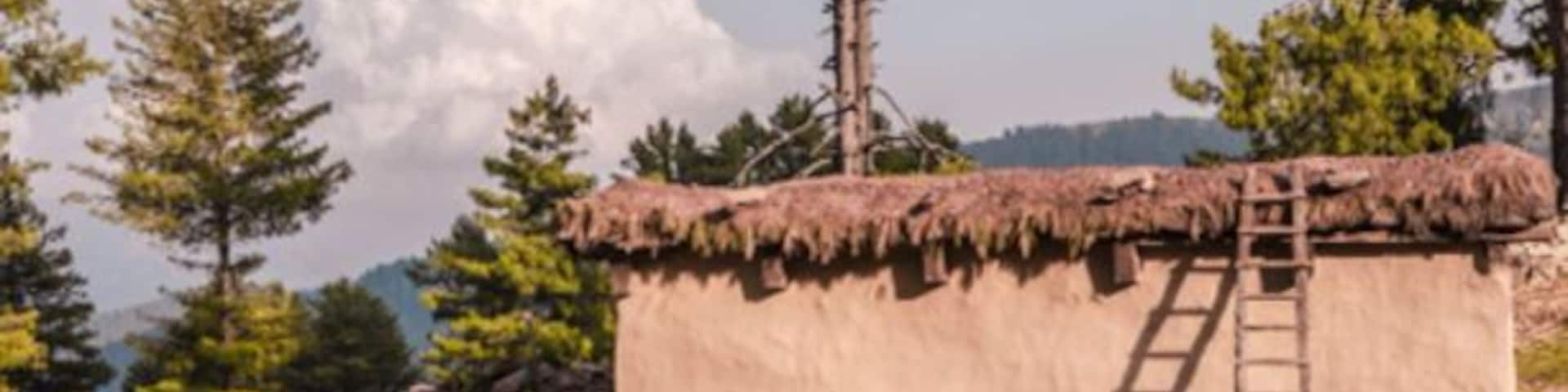 Houses coated in mud and covered in straw in Sanasar.
We were in a bus from Patnitop to Sanasar. Sanasar is a mountain side village, a hill station on the Jammu side of Jammu and Kashmir. All along our bus ride, we saw these mud coloured, box shaped houses.
http://sandeepachetan.com/sanasar-farmer-lunch/