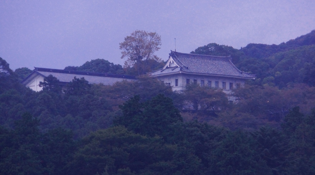Kotohiragu Library 金刀比羅宮圖書館