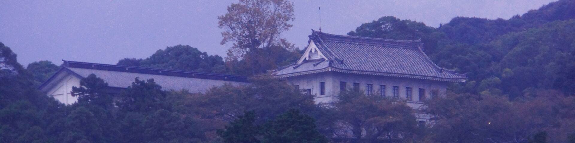 Kotohiragu Library éćæŻçŸ
ćźźćæžé€š