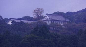 Kotohiragu Library 金刀比羅宮圖書館