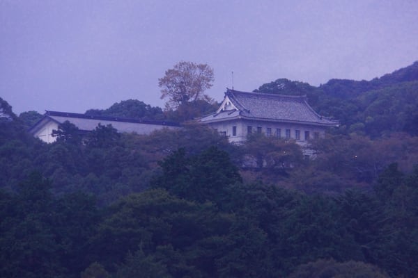 A traditional Japanese building surrounded by dense forest.
