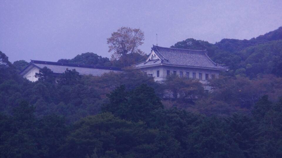 Kotohiragu Library 金刀比羅宮圖書館