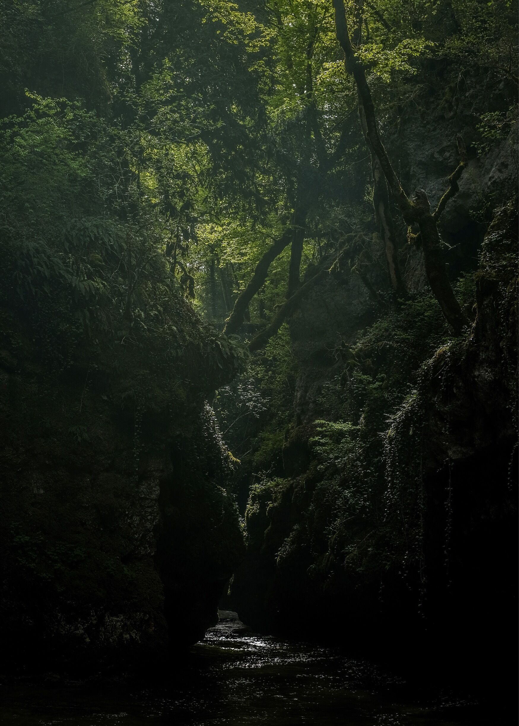 Wonderful waterfall and forest. Great for photos with some sort of mystical mood