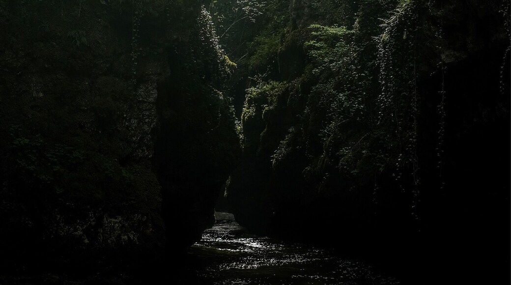 Wonderful waterfall and forest. Great for photos with some sort of mystical mood