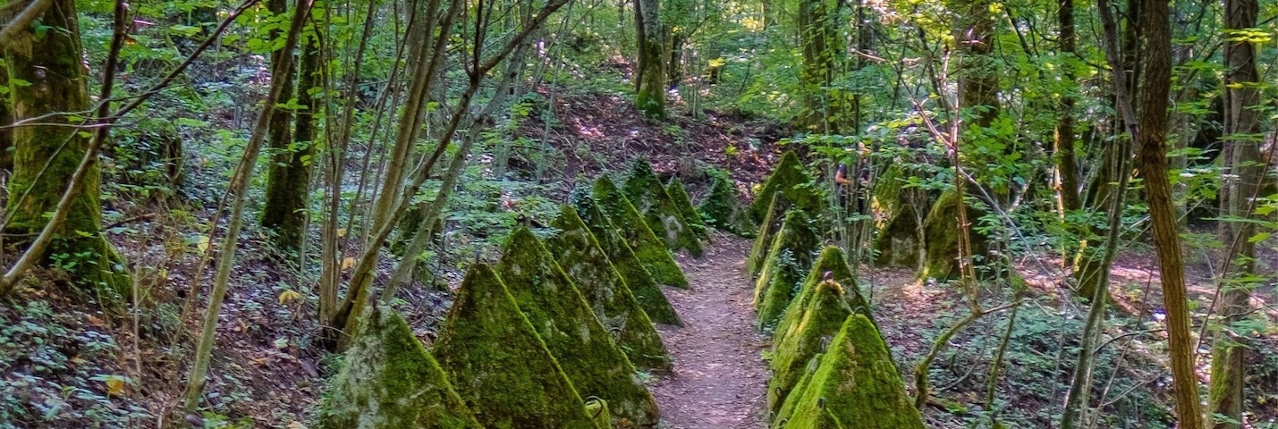 The “Toblerone trail” extends from the Léman towards the Jura and is in fact a line of fortification dating back to WWII. Nowadays it’s a very nice hiking trail mostly overshadowed by trees.