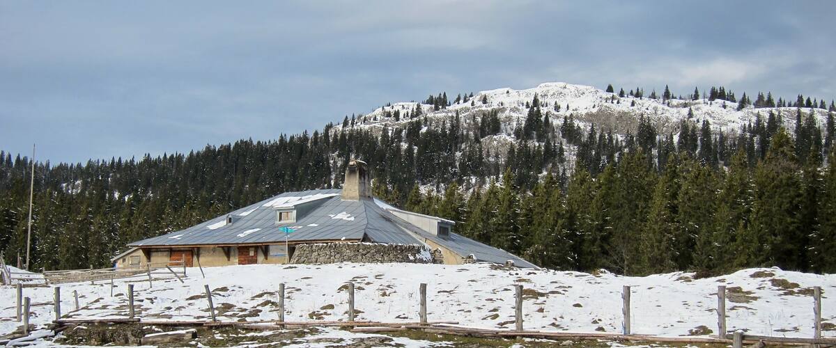 A snow-covered landscape with a wooden cabin and a mountain in the background.