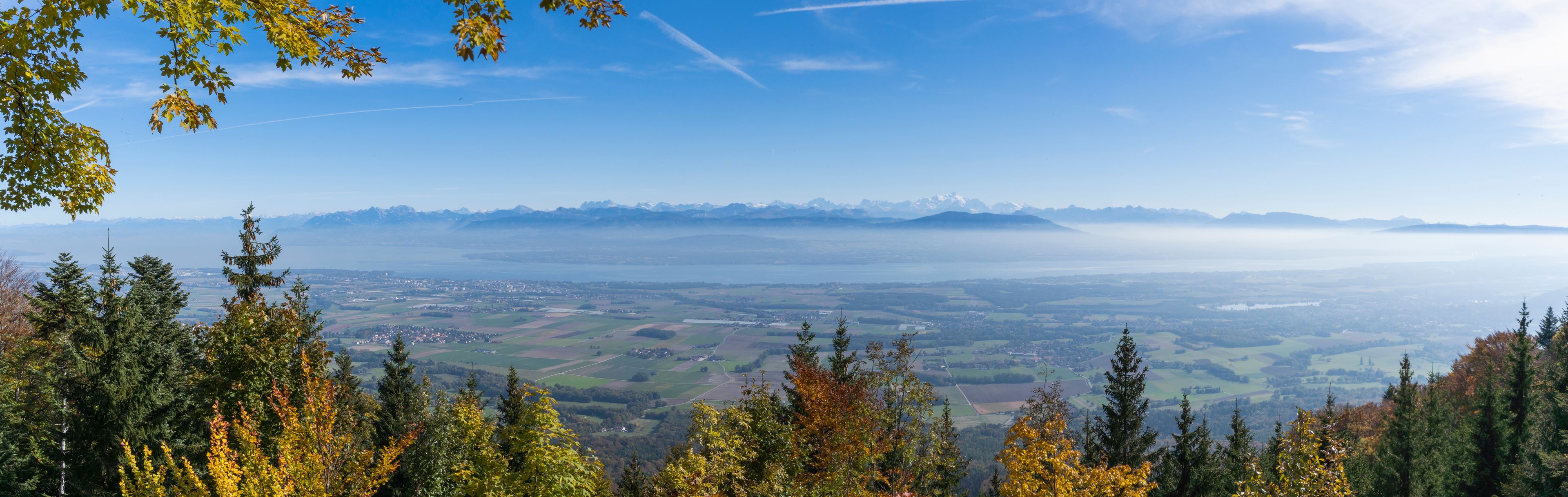 A mountainous landscape with a valley, trees, and a distant mountain range.
