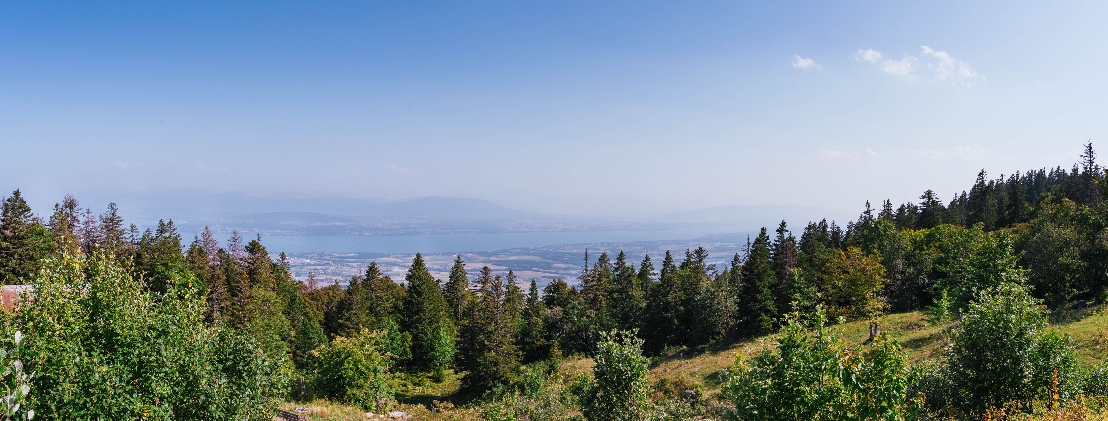 A mountainous landscape with dense forests and a distant view of a city.