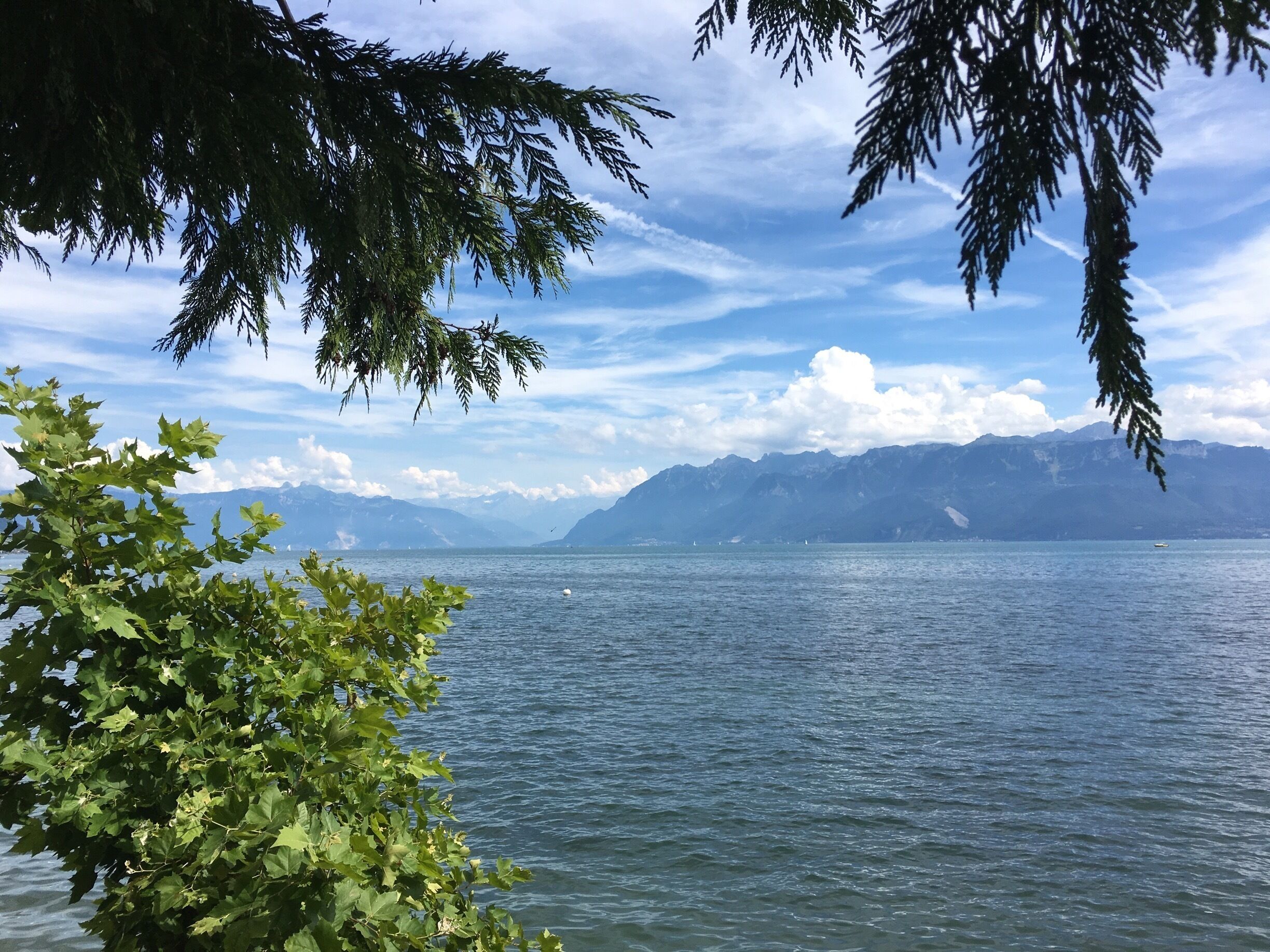 A lake with mountains in the background and green foliage in the foreground.