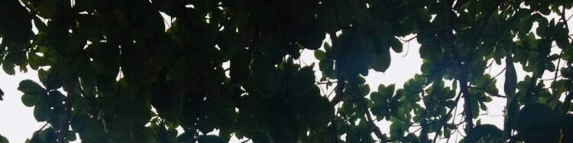 Hiriketiya Beach. A surfer’s paradise. Located in the south of Sri Lanka. #LifeatExpedia #SriLanka