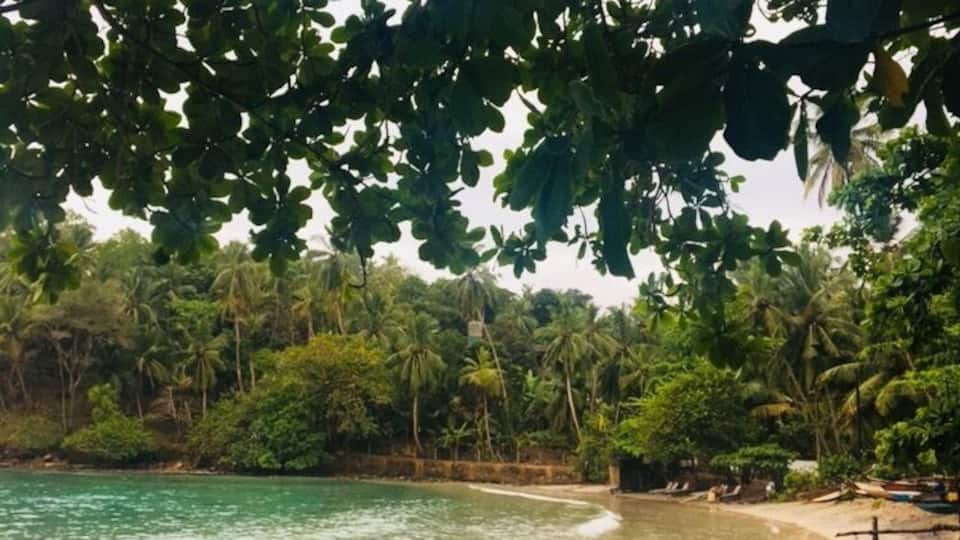 A beach with clear turquoise water, sandy shore, and dense tropical foliage.