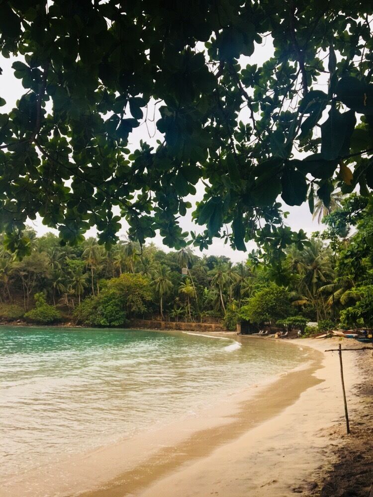 A beach with clear turquoise water, sandy shore, and dense tropical foliage.