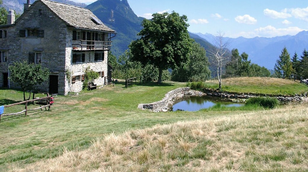 Auf dem Monti di Lego 1149 m.ĂŒ.M. Hier gibt es das Grotto Capanna Monte Lego zum Rast machen.Der Monti di Lego liegt hoch ĂŒber dem Lago Maggiore im Schweizer Kanton Tessin.