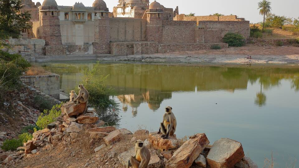 A historic fort with domed structures, a calm river, and monkeys sitting on rocks.