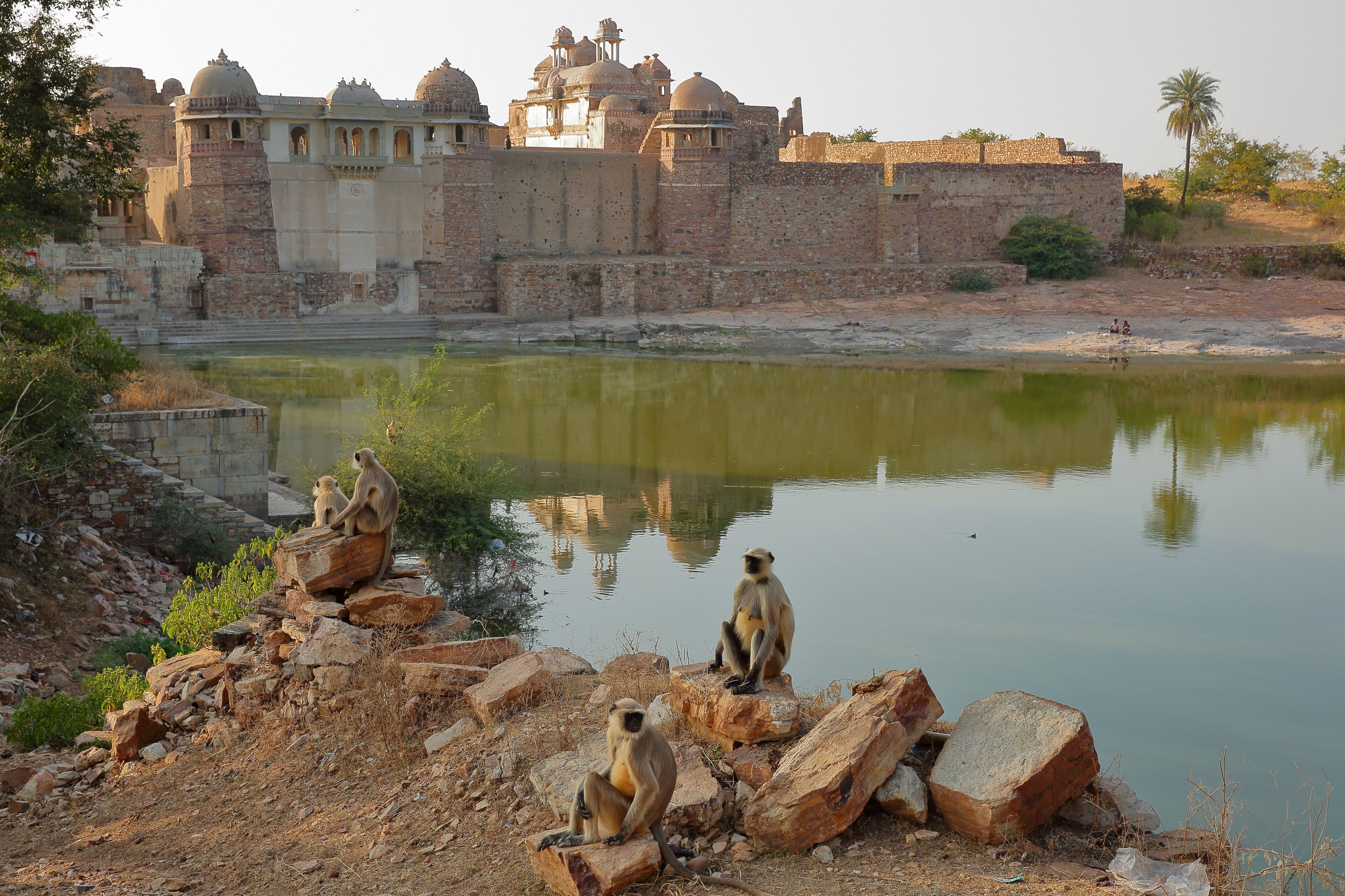 A historic fort with domed structures, a calm river, and monkeys sitting on rocks.