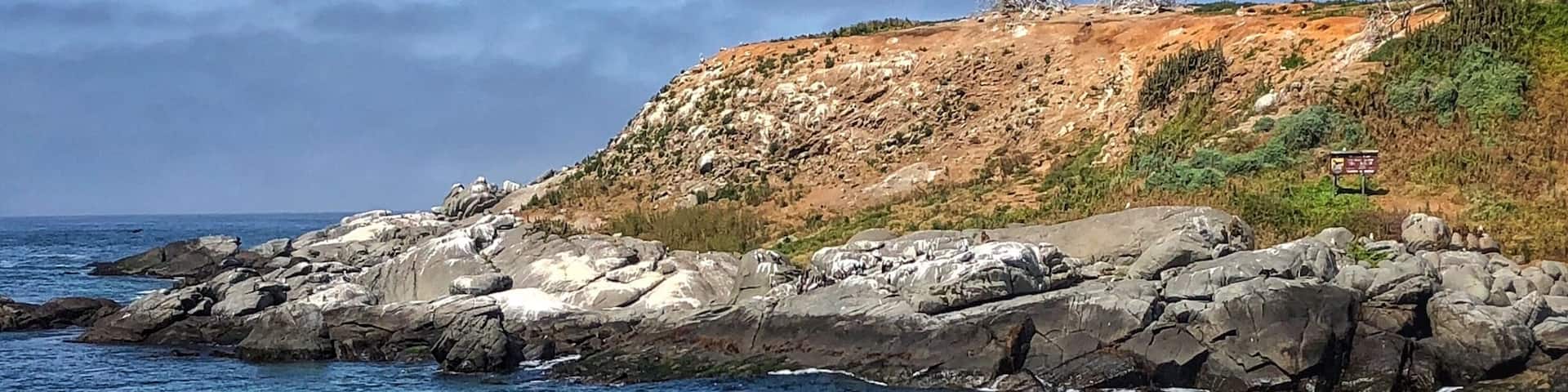 Make time to stop and take a look at the penguin colony here. Be sure to take binoculars. Fun to see them in their natural habitat!