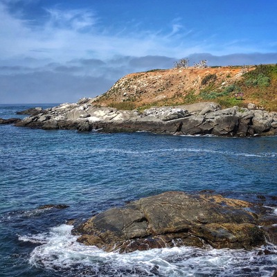 Make time to stop and take a look at the penguin colony here. Be sure to take binoculars. Fun to see them in their natural habitat!