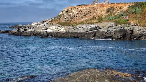 Make time to stop and take a look at the penguin colony here. Be sure to take binoculars. Fun to see them in their natural habitat!