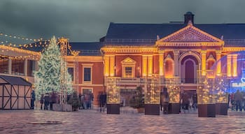 ย่านเมืองเก่าไคลเปดา