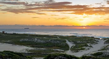 Florianópolis, Campeche beach during sunrise. Brazil. Rio Tavares neighborhood in web banner during sunrise. Aerial view in web banner.