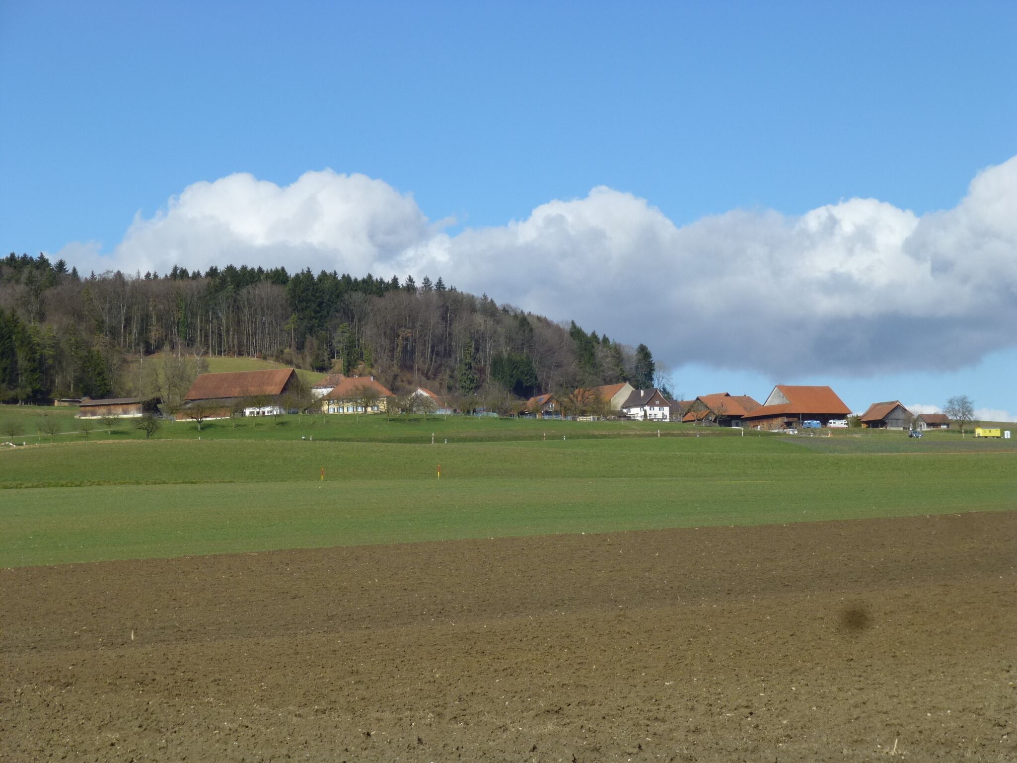A rural landscape with green fields, a forested hill, and several houses with red roofs.