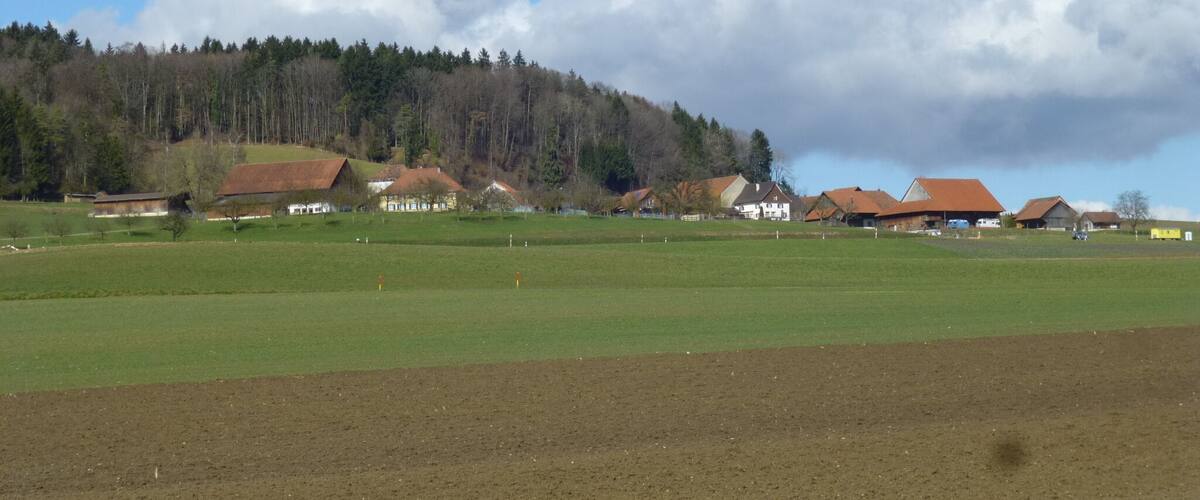 A rural landscape with green fields, a forested hill, and several houses with red roofs.
