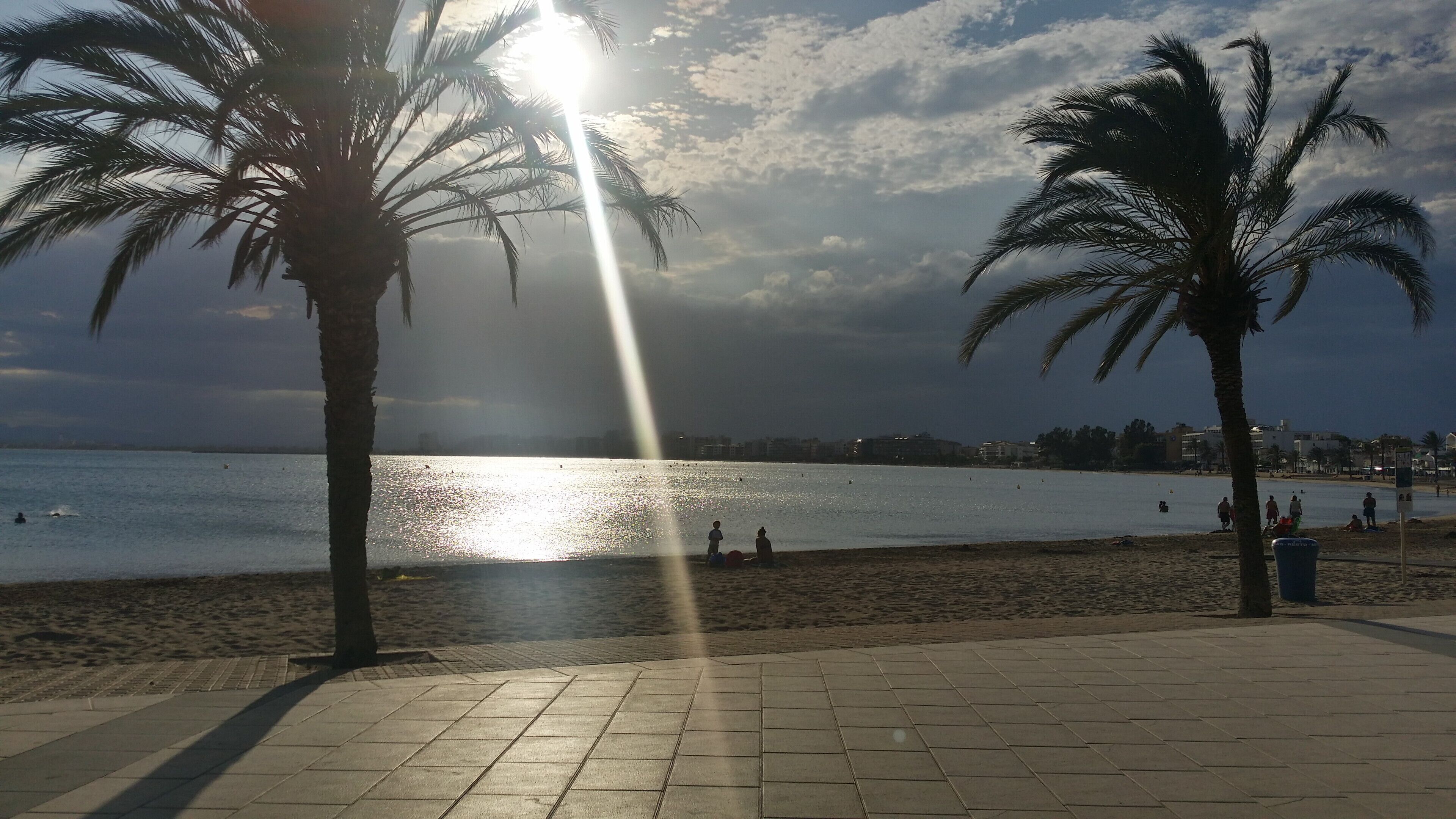 Una playa con palmeras, un sendero pavimentado y el sol reflejándose en el agua.