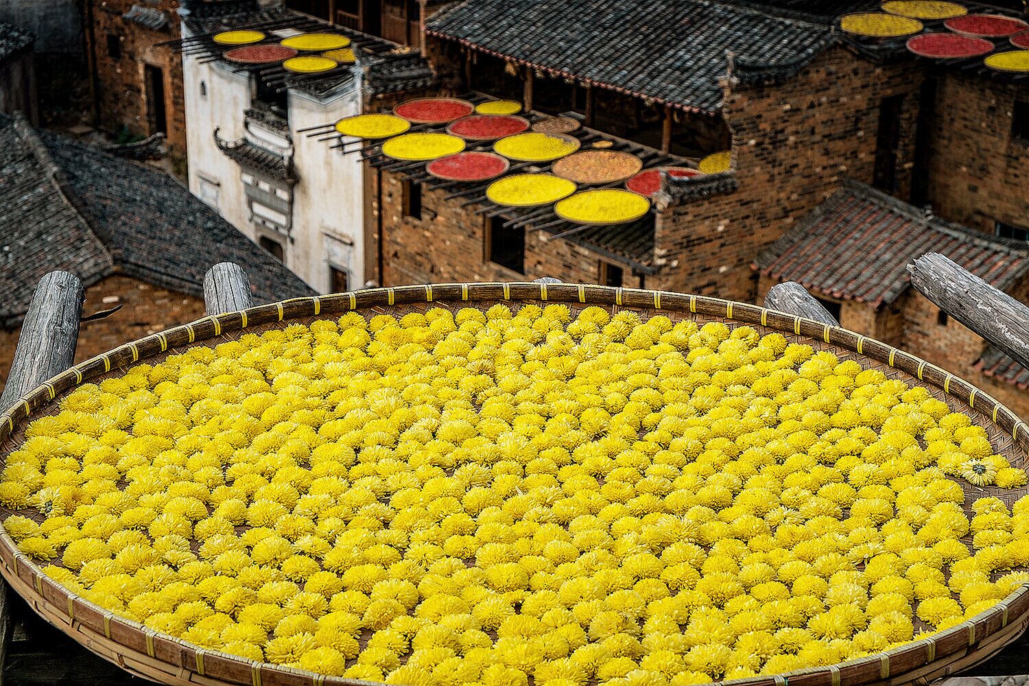 Autumn to Wuyuan, one of the most beautiful countrysides in China.

https://twitter.com/Beautifulgx