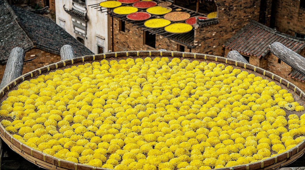 Autumn to Wuyuan, one of the most beautiful countrysides in China.
https://twitter.com/Beautifulgx