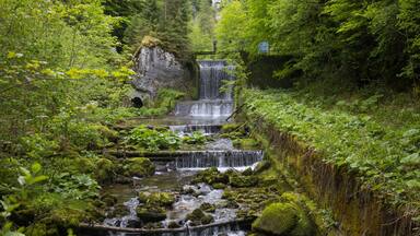 Un bosque verde y frondoso con una cascada y un puente de piedra.