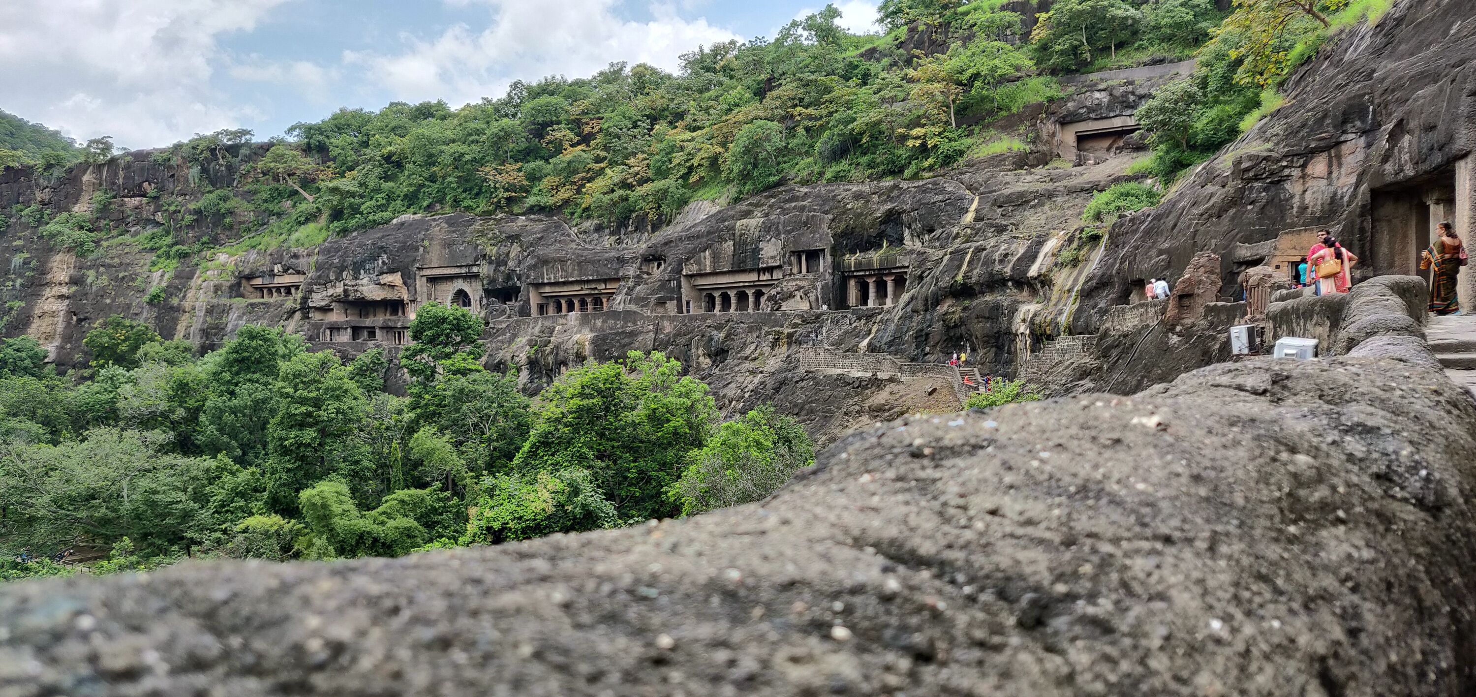 Ancient rock-cut architecture amidst lush greenery.