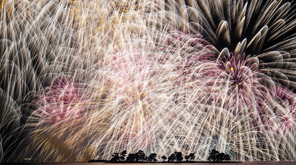 「島根県 松江水郷祭 大輪」FIND/47プロジェクトより