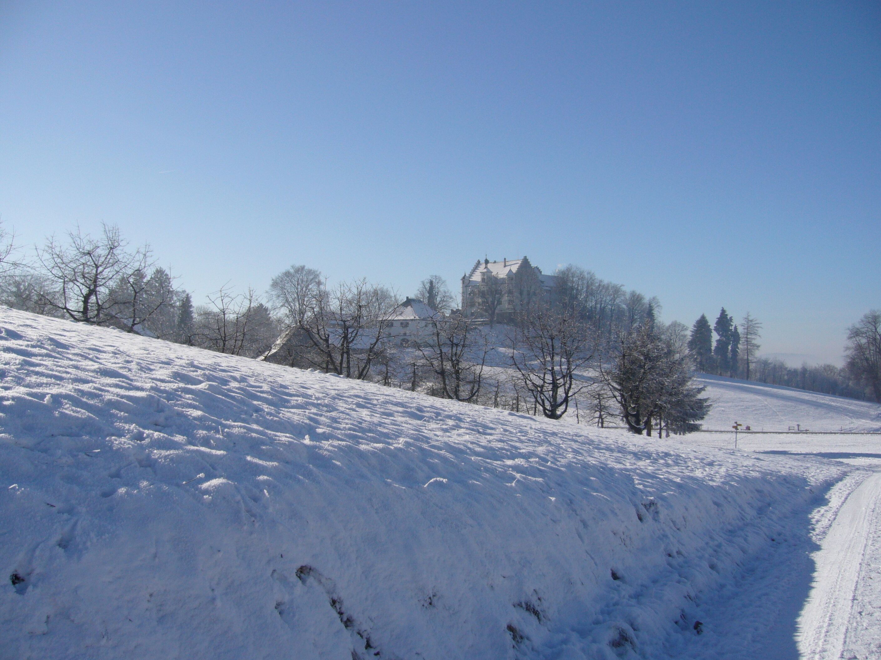 Winterlicher Blick vom Grooßzälg auf Schloss Sonnenberg.