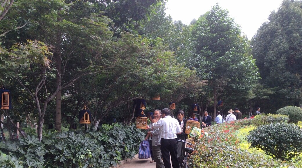 I was always slightly perplexed whenever I saw men walking, or riding their bikes, while holding a bird cage wrapped in a blanket. I had guessed that they had either just bought it or were off to sell it. I have since learned that they are taking them for a walk and bringing them to a place where they can have their covers taken off and allowed to socialize with other birds.
These men didn't mind me taking a photo. In fact, they seemed it odd that I should take interest in something so normal. This wasn't the case when I tried to take photos of two men taking their turtles for walks on separate occasions (big ones too...not the men, the turtles). Hopefully, I can get a photo of man and beast later on.