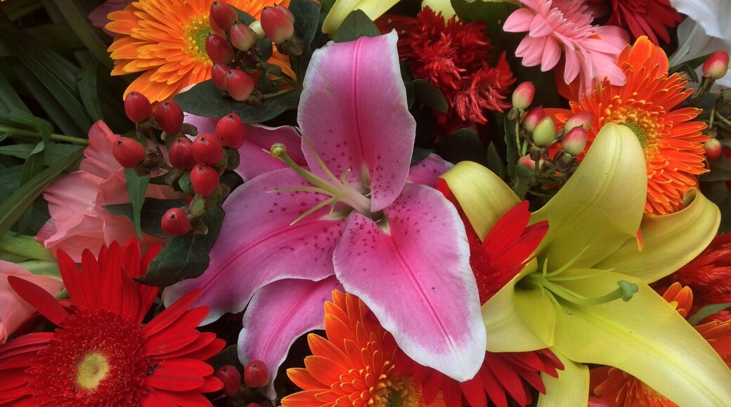 “I must have flowers, always, and always.”
― Claude Monet
#Colorful