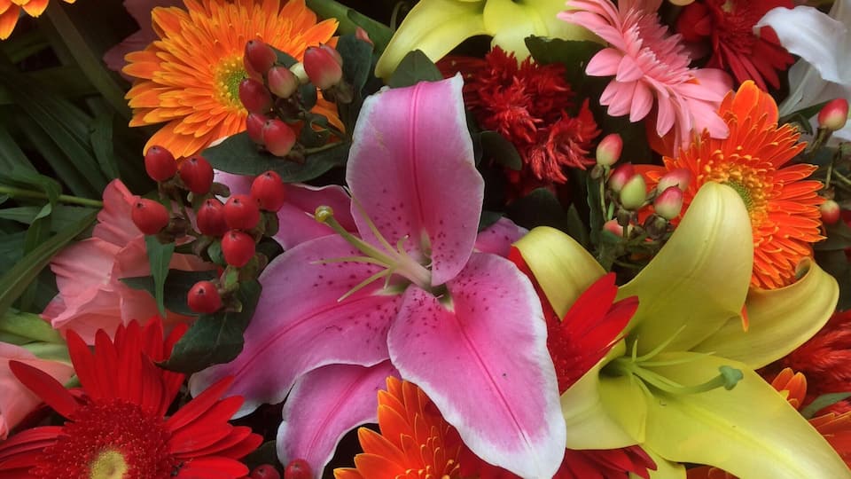 “I must have flowers, always, and always.”
― Claude Monet
#Colorful