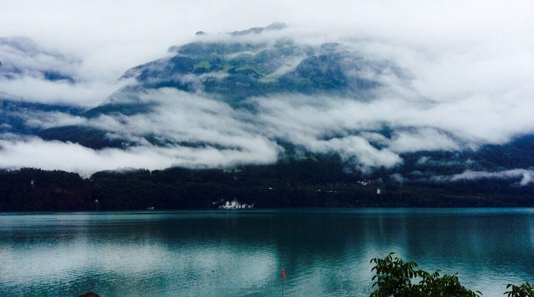 #troverdetour
The beautiful Lake Breinz as seen from the panoramic train, as we were travelling from Interlaken to Lucern. This lake is a very huge one and the train journey was unforgettable as it was filled with-breathtaking views ofso many lakes. The clouds almost kissing the waters of the lake, the mountains towering over the blue blue waters...so many moments of complete joy on this trip.