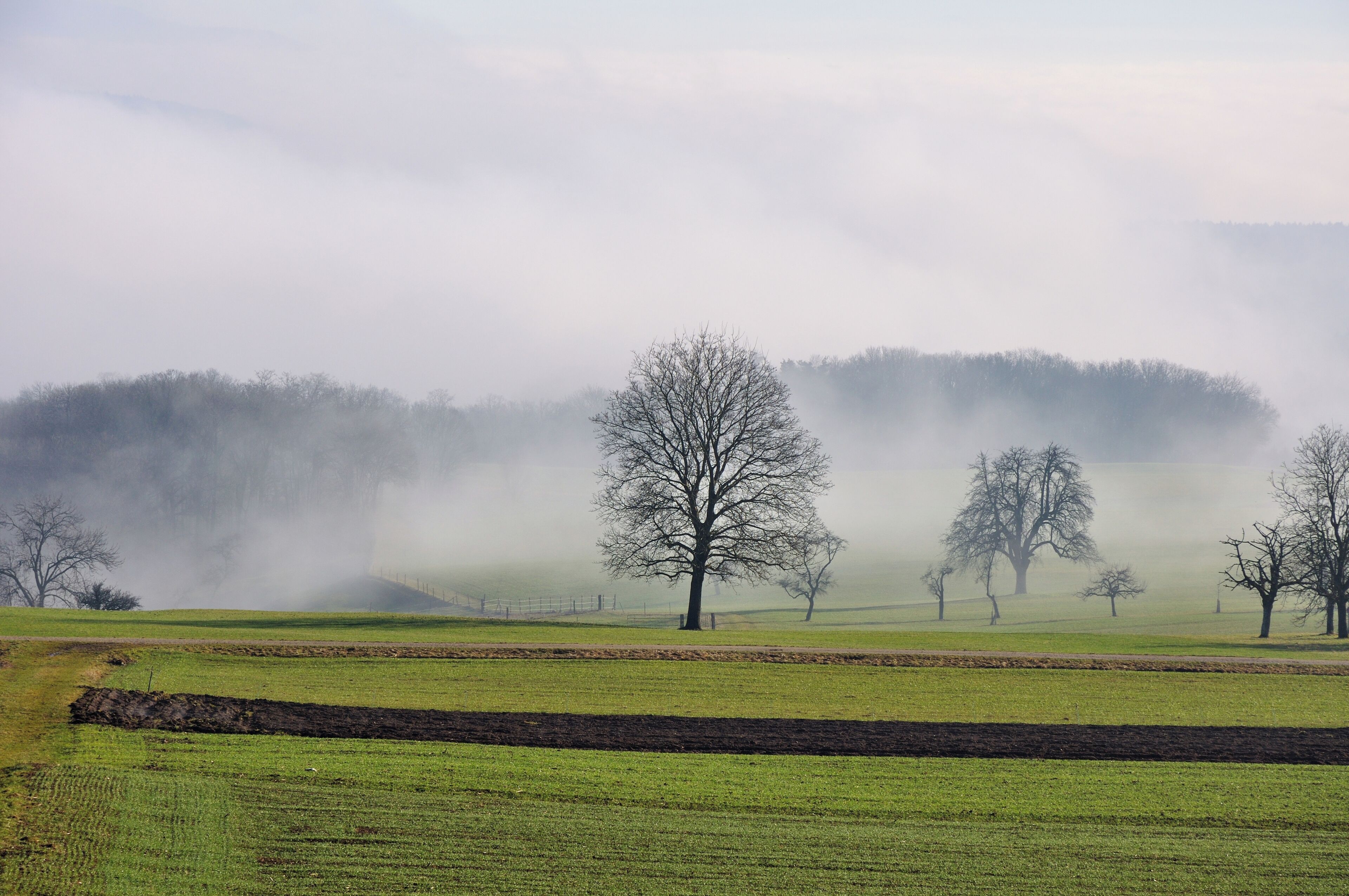 Switzerland, Canton of Schaffhausen, winter in Lohn