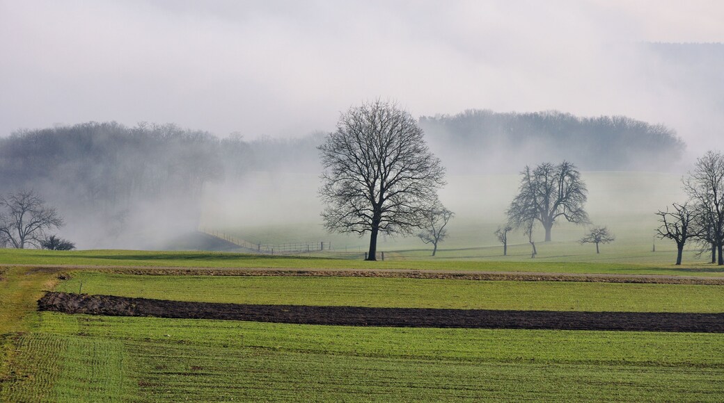 Switzerland, Canton of Schaffhausen, winter in Lohn