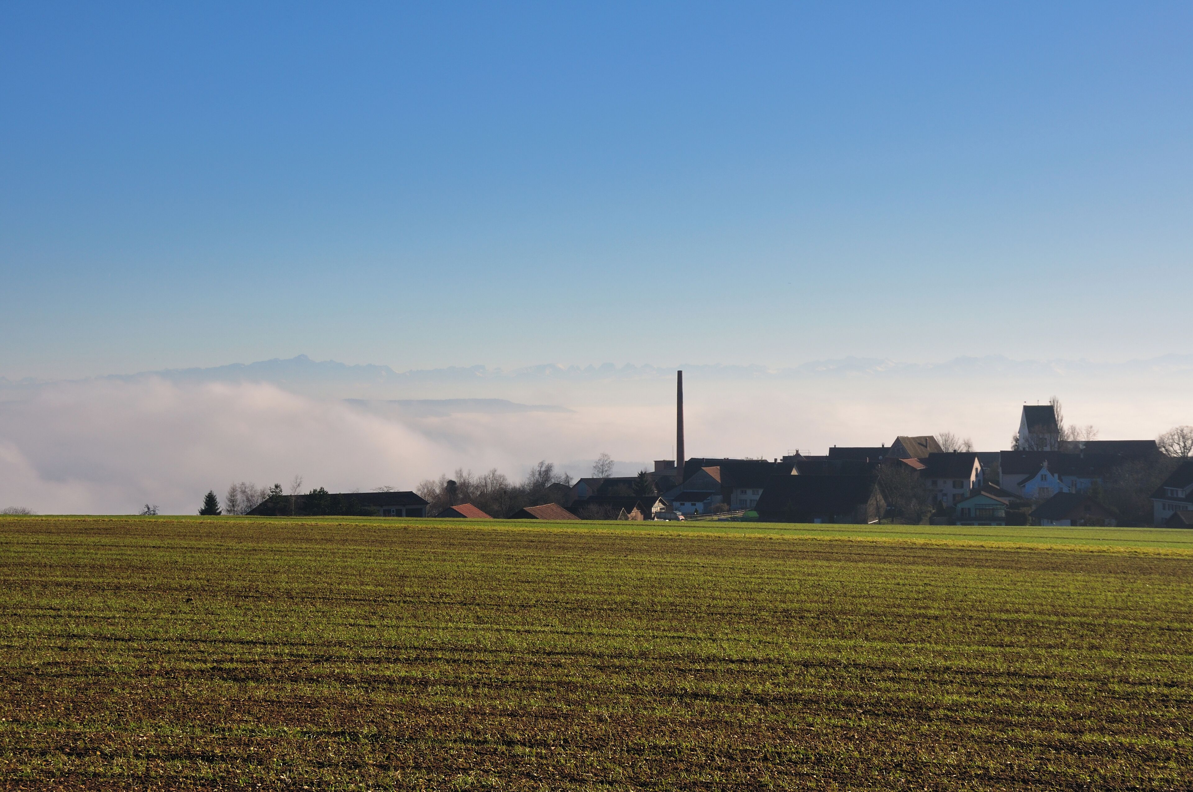 Switzerland, Canton of Schaffhausen, winter in Lohn