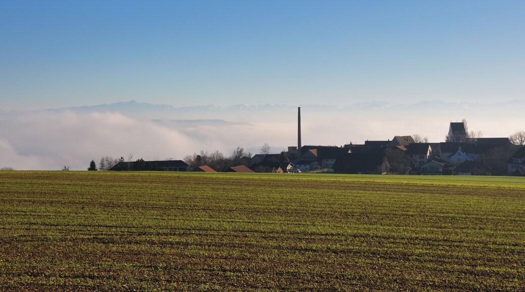 Switzerland, Canton of Schaffhausen, winter in Lohn