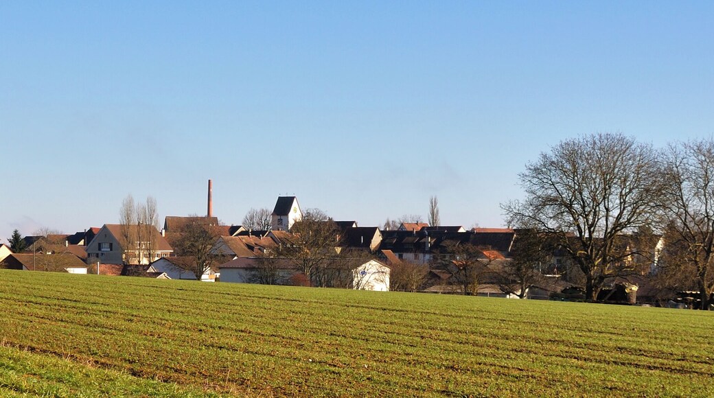 Switzerland, Canton of Schaffhausen, winter in Lohn