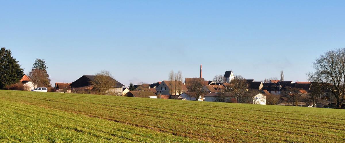 A rural landscape with a green field, houses, and a church.