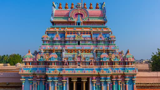 Sri Ranganatha Swamy temple is located in Srirangam, Tiruchirapalli, Tamil Nadu, South India. This Hindu temple dedicated to Ranganatha (a form of Vishnu) & his consort Ranganayaki (a form of Lakshmi.