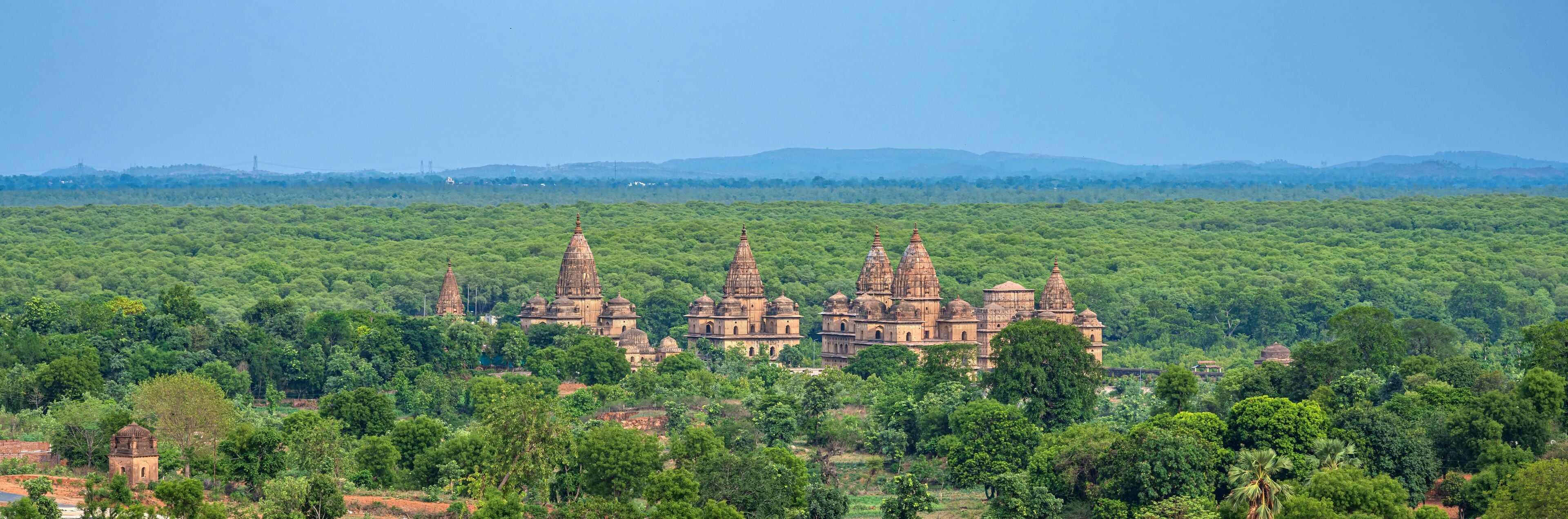 A temple complex surrounded by dense forest.