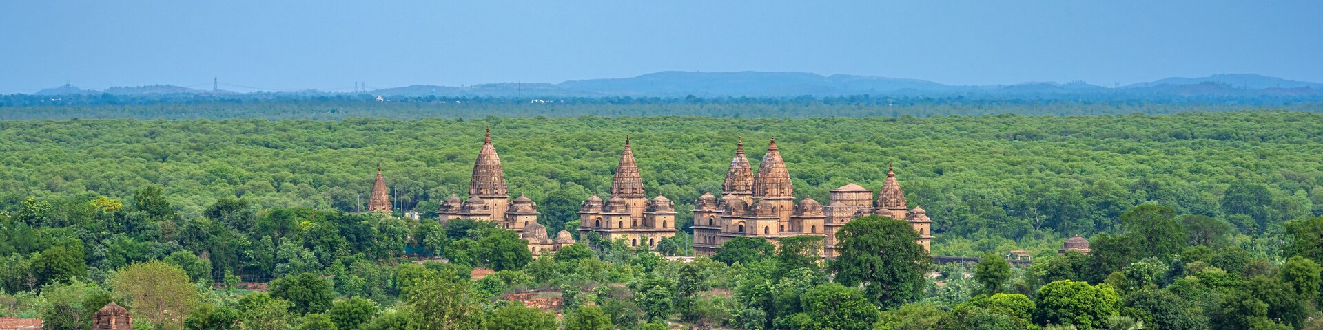 A temple complex surrounded by dense forest.