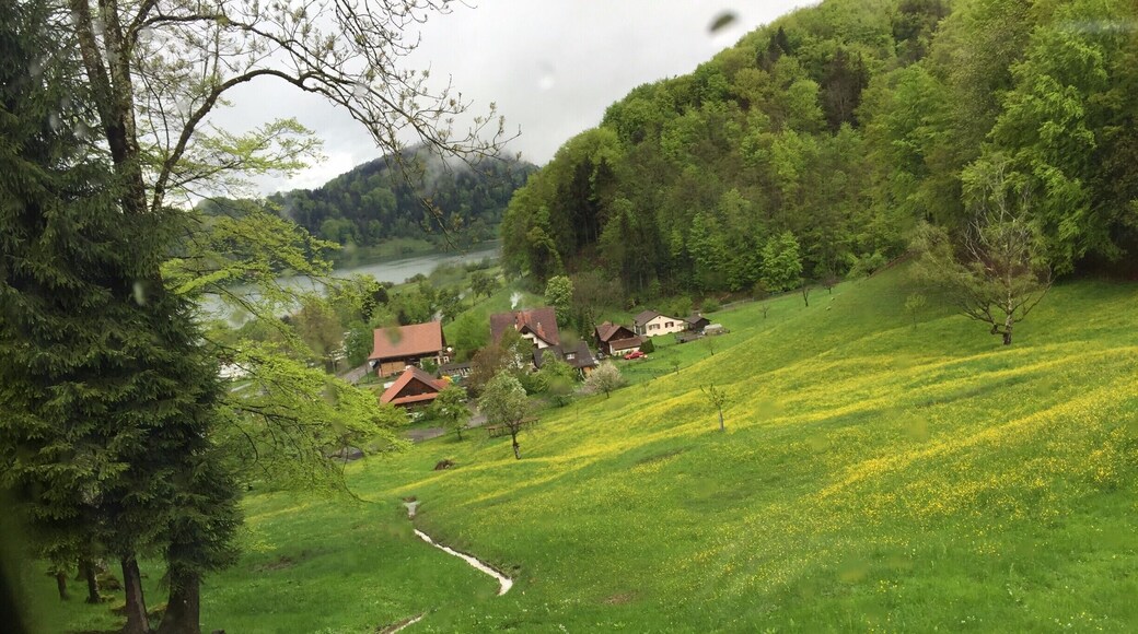 Scenic beauty of Swiss #lifeatexpedia