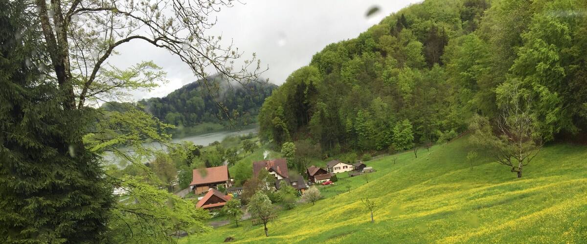 A lush green hillside with a river in the background, surrounded by trees and houses.